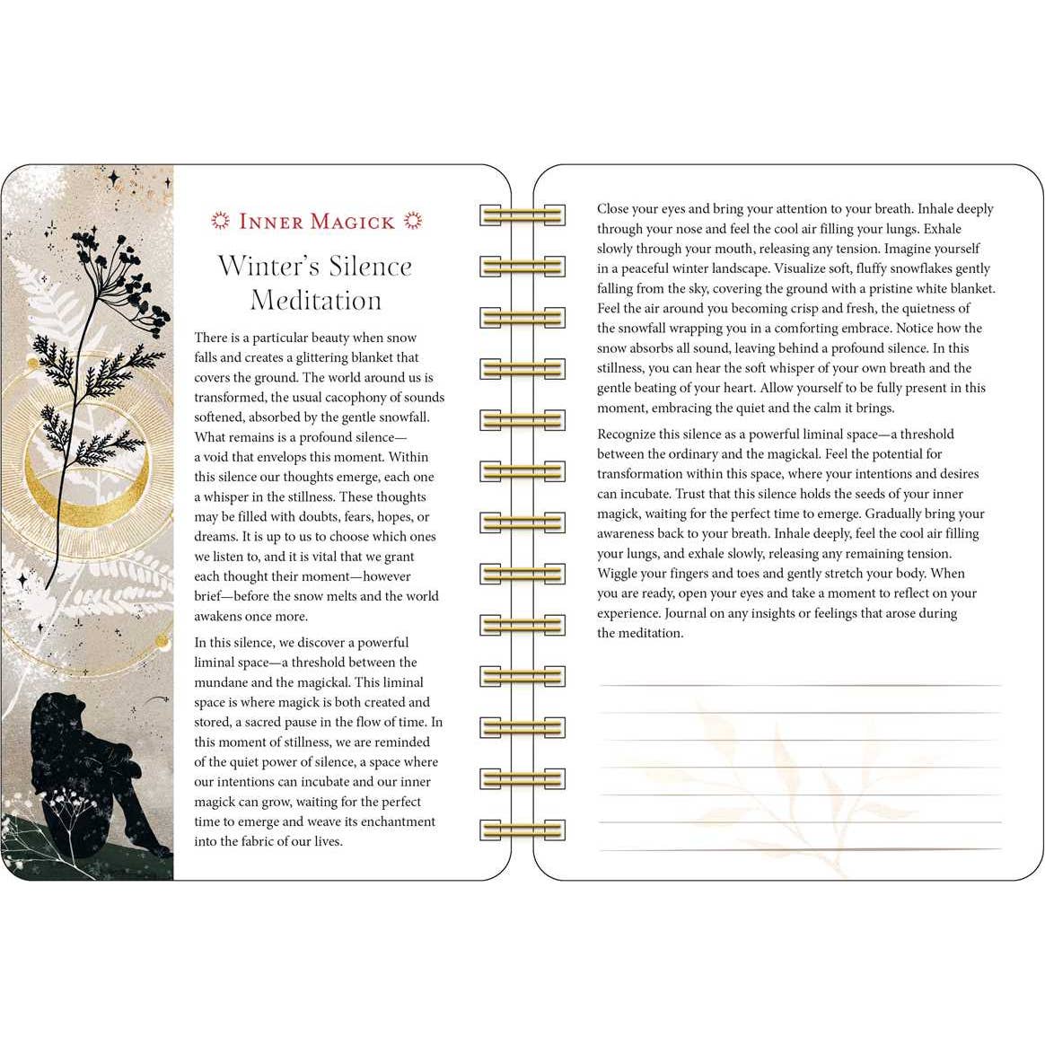 Year of the Witch 2026 Weekly Planner Calendar By Temperance Alden