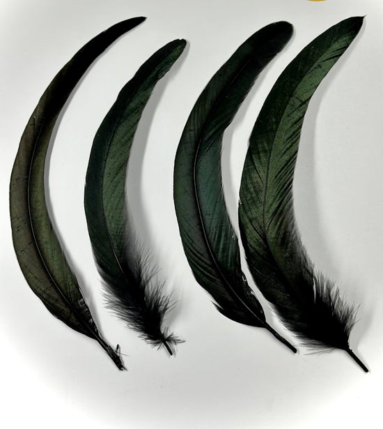 Black Feathers for Smudging