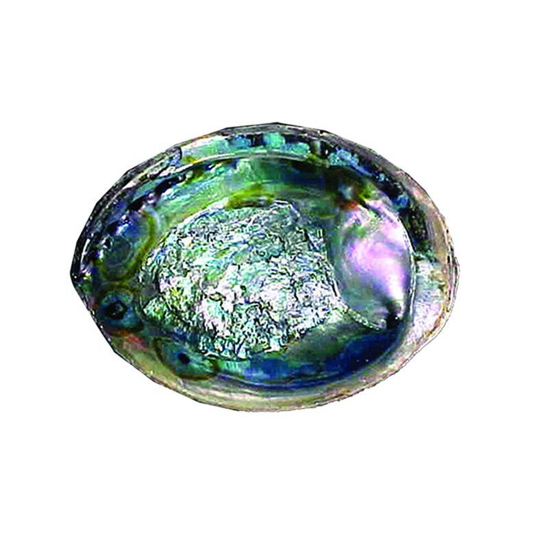 6"-7" Green Abalone Shells Bowl For Smudging