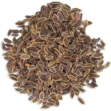 Dill Seeds