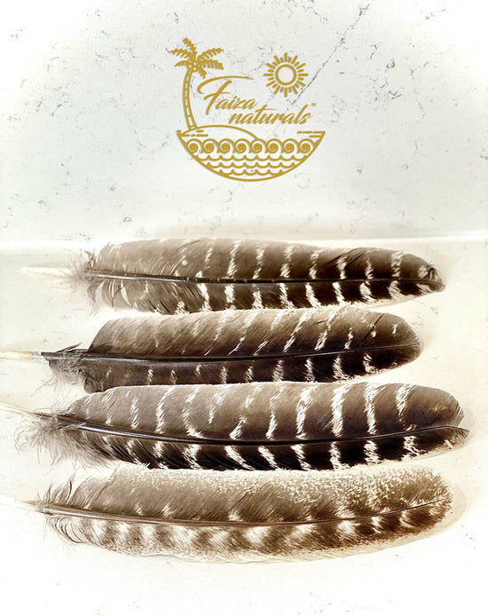 Feathers for Smudging (Turkey)